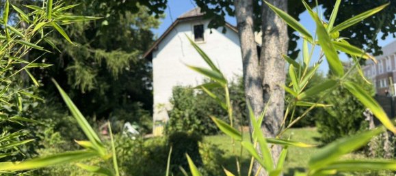 2 rooms House in Eisenstadt, Austria No. 203013 2