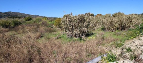 Terrain à Davoli, Italy 11000m² No. 278739 17