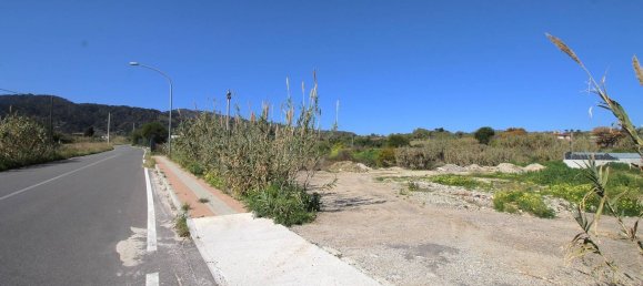 Terrain à Davoli, Italy 11000m² No. 278739 11