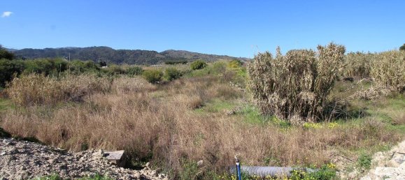 Terrain à Davoli, Italy 11000m² No. 278739 15