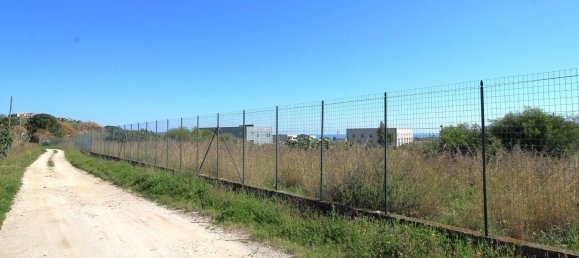 Terrain à Davoli, Italy 11000m² No. 278739 5