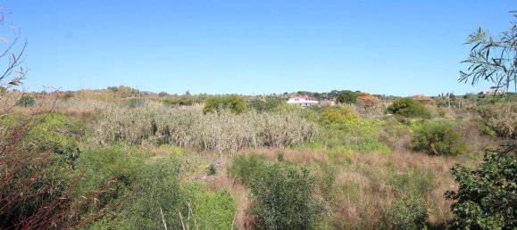 Terrain à Davoli, Italy 11000m² No. 278739 8