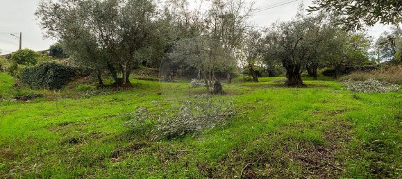 2 غرف نوم منزل في Redinha, Portugal رقم 28503 12