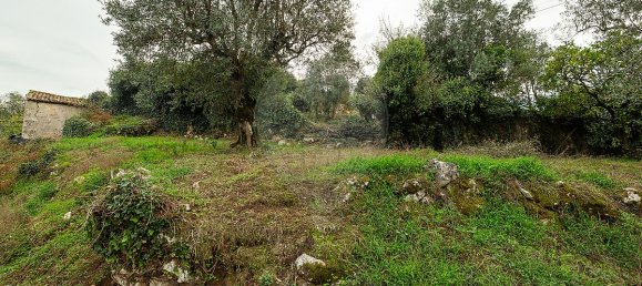 2 غرف نوم منزل في Redinha, Portugal رقم 28503 3