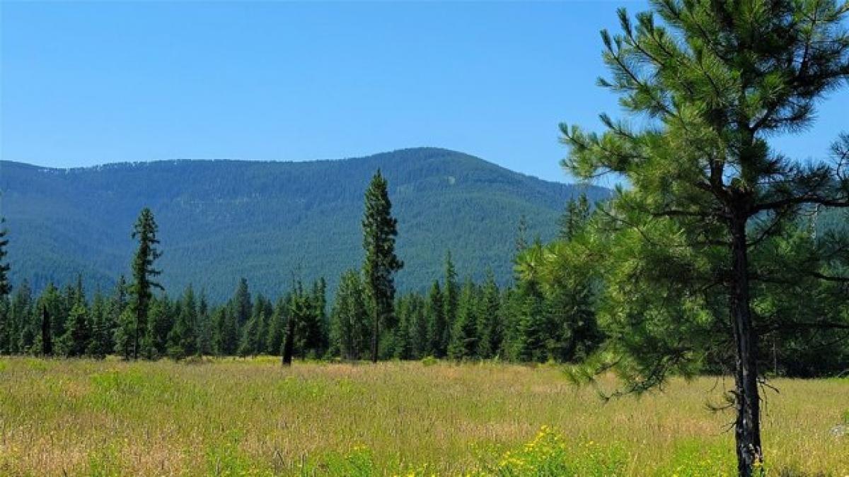  Land in Trout Creek, USA No. 481249