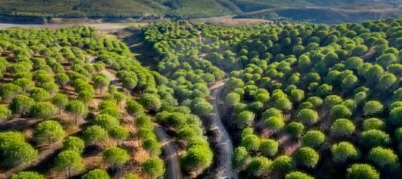 9 chambres Châteaux à Lagos, Portugal No. 56266 6