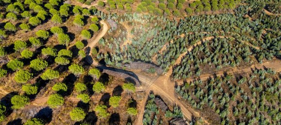 9 chambres Châteaux à Lagos, Portugal No. 56266 4