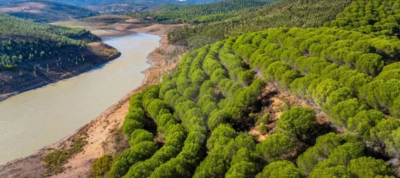 9 chambres Châteaux à Lagos, Portugal No. 56266 7