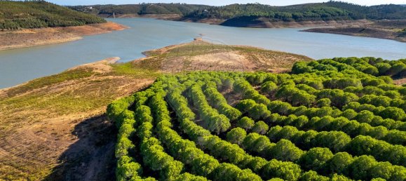 9 chambres Châteaux à Lagos, Portugal No. 56266 8