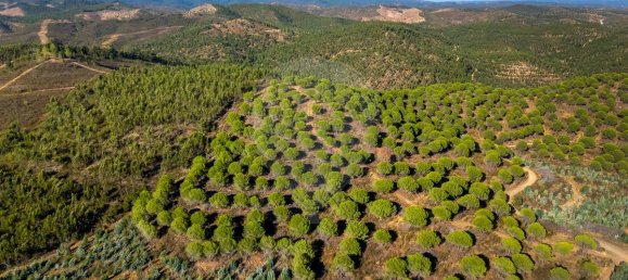9 chambres Châteaux à Lagos, Portugal No. 56266 2