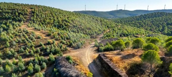 9 chambres Châteaux à Lagos, Portugal No. 56266 13