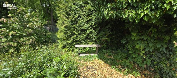 4 rooms House in Bad Pirawarth, Austria No. 173328 7