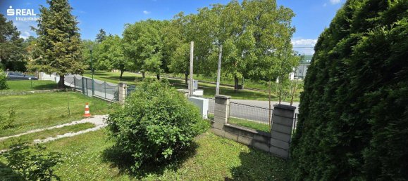 4 rooms House in Bad Pirawarth, Austria No. 173328 6