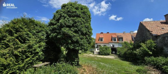 4 rooms House in Bad Pirawarth, Austria No. 173328 2