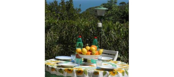 3 bedrooms Villa in Capoliveri, Italy No. 255059 6