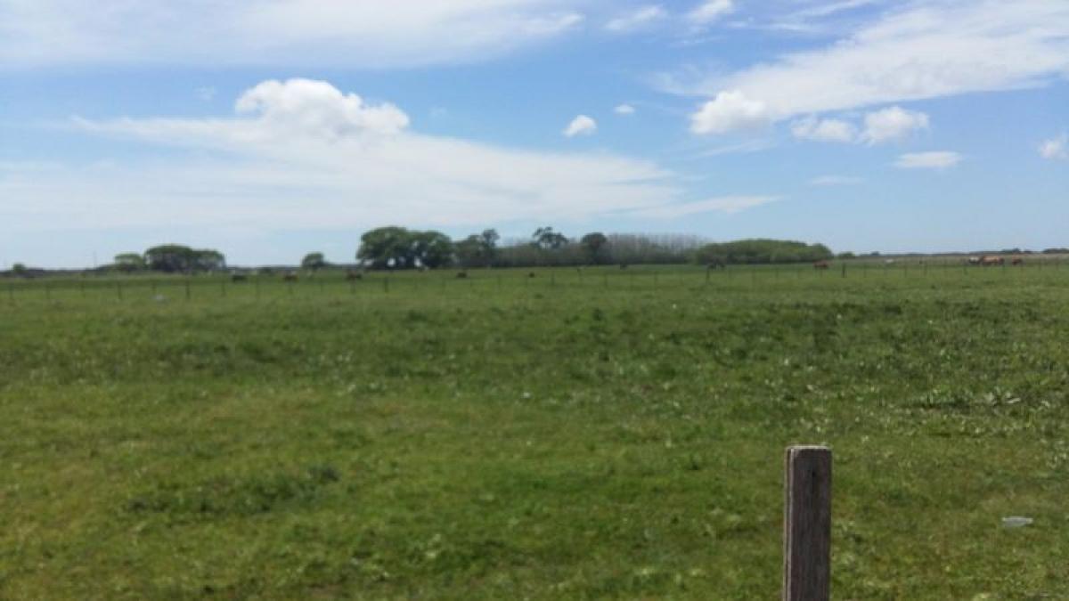 Land in Mar del Plata, Argentina No. 111795