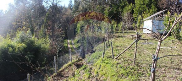 Terreno en Estoraos, Portugal 22000 m² No. 33210 9