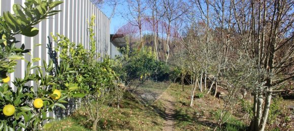 Terreno en Estoraos, Portugal 22000 m² No. 33210 21