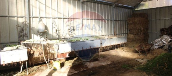 Terreno en Estoraos, Portugal 22000 m² No. 33210 14