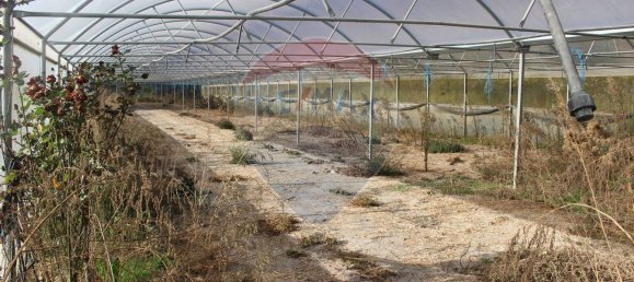 Terreno en Estoraos, Portugal 22000 m² No. 33210 32