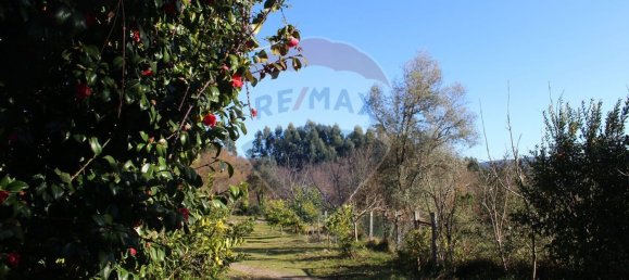 Terreno en Estoraos, Portugal 22000 m² No. 33210 29