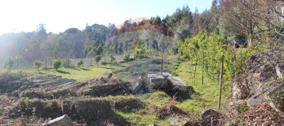 Terreno en Estoraos, Portugal 22000 m² No. 33210 23
