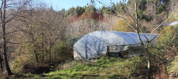 Terreno en Estoraos, Portugal 22000 m² No. 33210 34