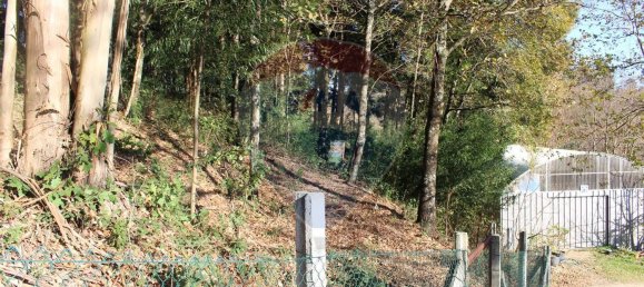 Terreno en Estoraos, Portugal 22000 m² No. 33210 20