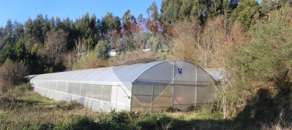 Terreno en Estoraos, Portugal 22000 m² No. 33210 33