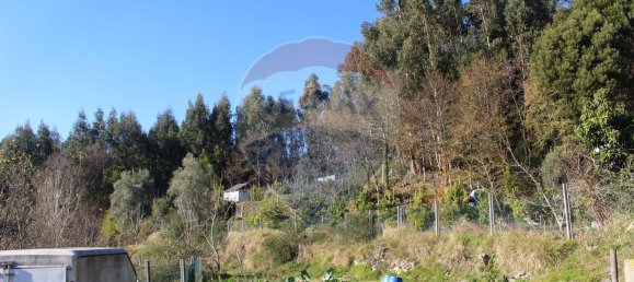 Terreno en Estoraos, Portugal 22000 m² No. 33210 30