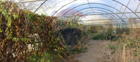 Terreno en Estoraos, Portugal 22000 m² No. 33210 36