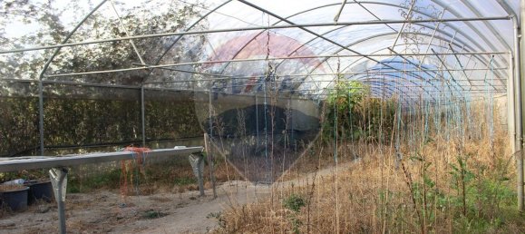 Terreno en Estoraos, Portugal 22000 m² No. 33210 35