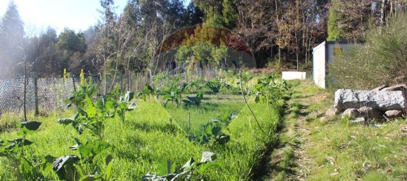 Terreno en Estoraos, Portugal 22000 m² No. 33210 15