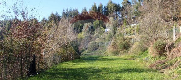 Terreno en Estoraos, Portugal 22000 m² No. 33210 31