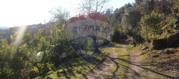 Terreno en Estoraos, Portugal 22000 m² No. 33210 38