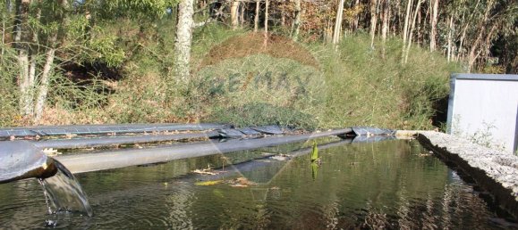 Terreno en Estoraos, Portugal 22000 m² No. 33210 17