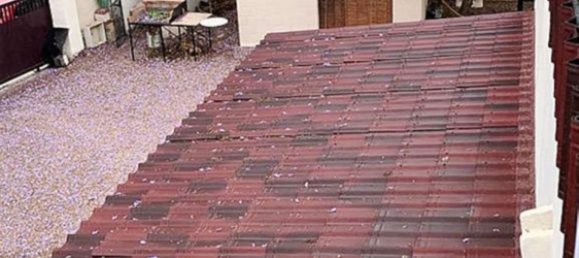 4 bedrooms House in Benifaio, Spain No. 116002 19