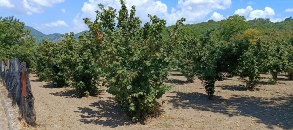 Terrain à Montoro, Italy 9100m² No. 275334 7