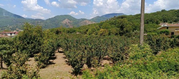 Terrain à Montoro, Italy 9100m² No. 275334 2