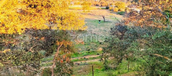 1480m² Land in Silves, Portugal No. 71552 9