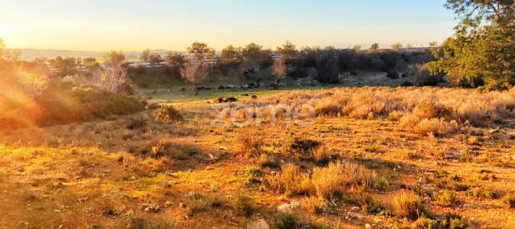 1480m² Land in Silves, Portugal No. 71552 16