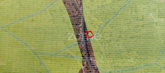 1480m² Land in Silves, Portugal No. 71552 12