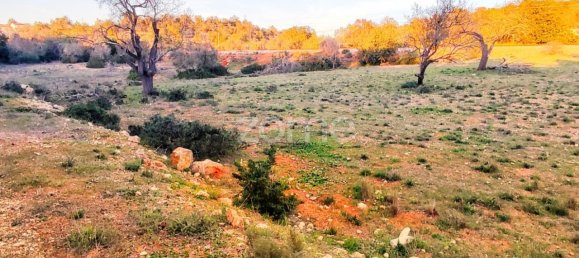 1480m² Land in Silves, Portugal No. 71552 8