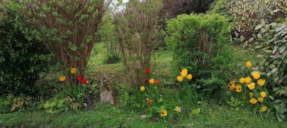 4 bedrooms House in Schmalkalden-Meiningen, Germany No. 224363 17