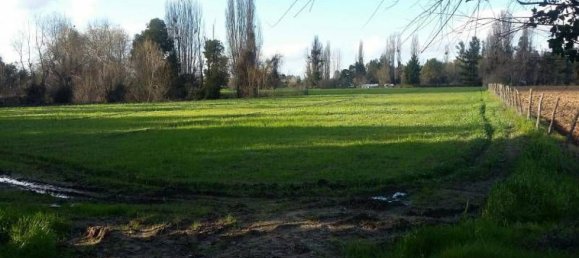  Land in Maule, Chile No. 708 2
