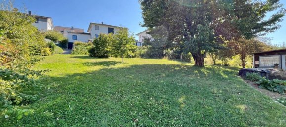 6 bedrooms Townhouse in Lauda-Konigshofen, Germany No. 42238 4