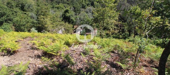 2 bedrooms House in Caires, Portugal No. 61641 3