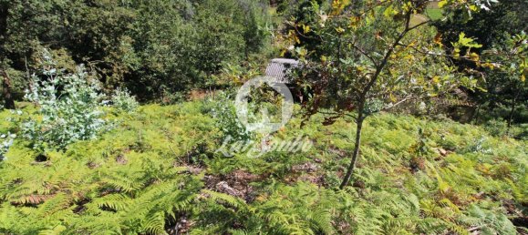 2 bedrooms House in Caires, Portugal No. 61641 5