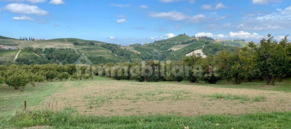 Lagerhaus in Montelupo Albese, Italy 39m², Nr. 365136 14