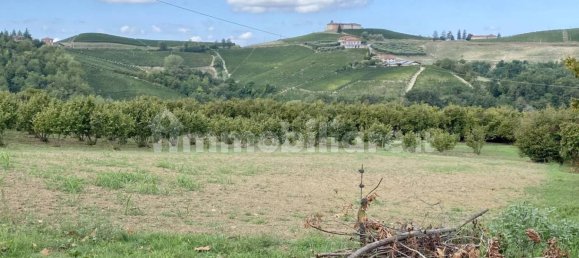 Lagerhaus in Montelupo Albese, Italy 39m², Nr. 365136 13